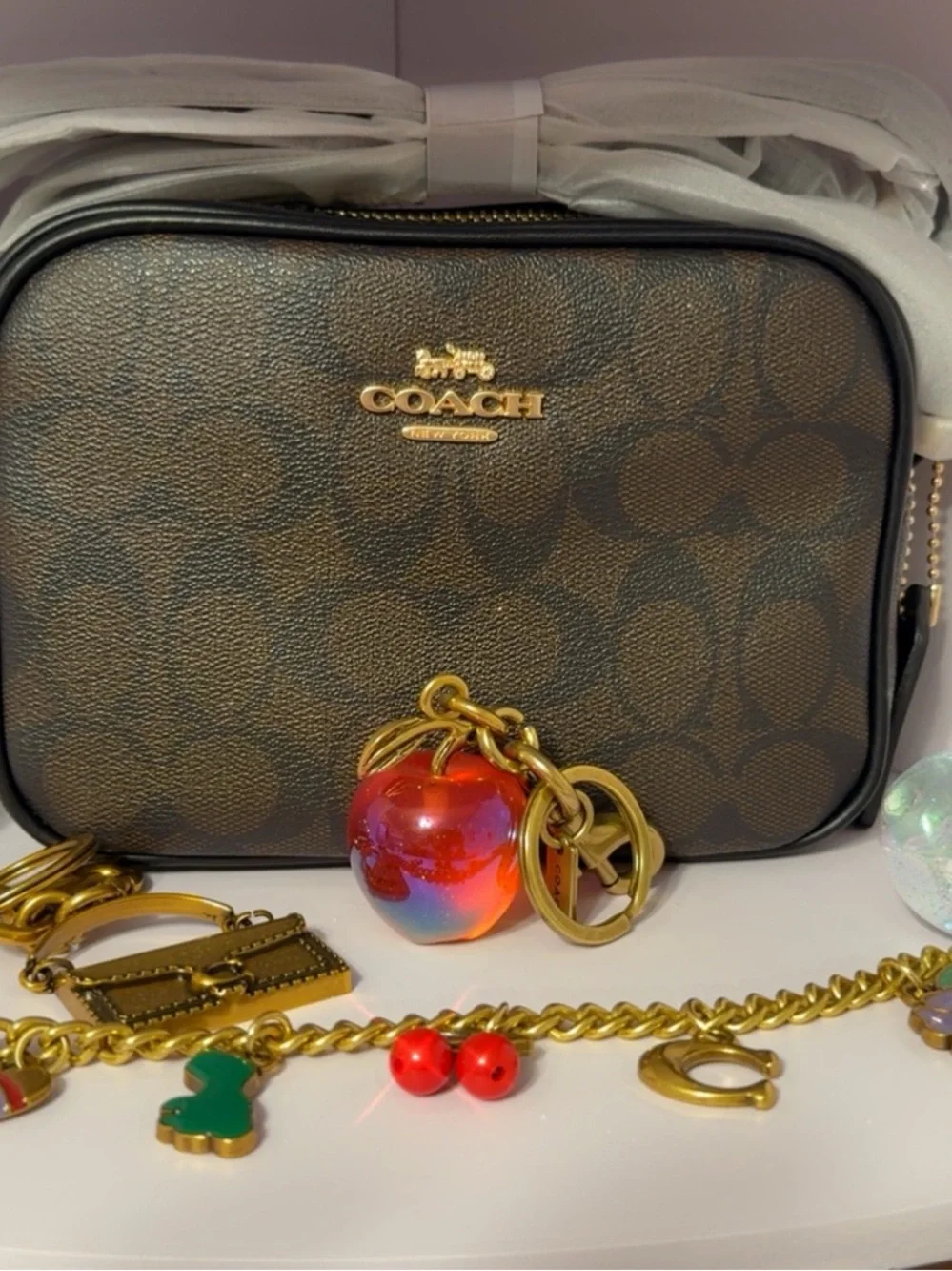 Coach Carey Brown Signature Crossbody